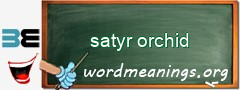 WordMeaning blackboard for satyr orchid